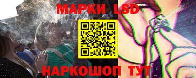 прущие грибы Гатчина
