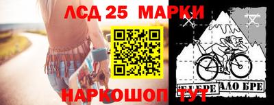 шишки Гагарин