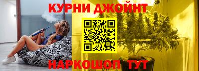 прущие грибы Гатчина